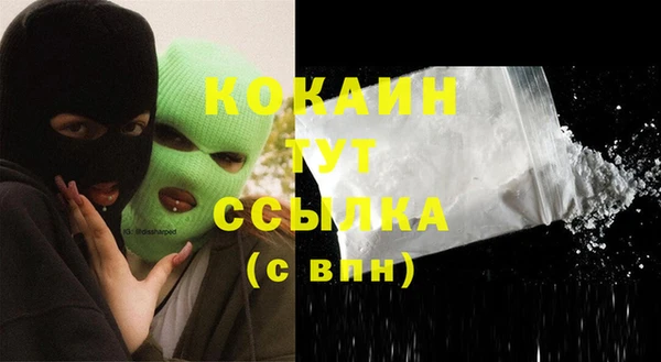 тгк Горно-Алтайск