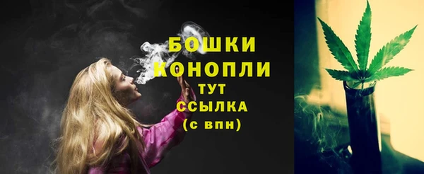 трава Вязьма