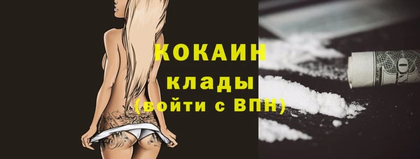 прущая мука Вяземский