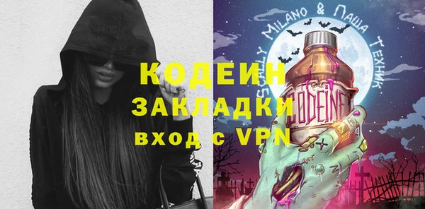 индика Горняк