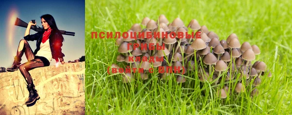 тгк Горно-Алтайск