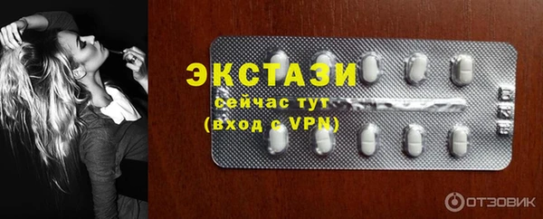 индика Горняк