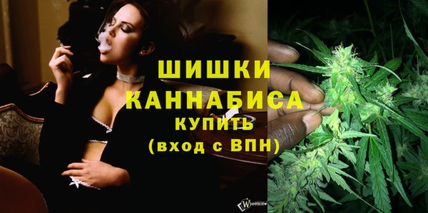 индика Горняк