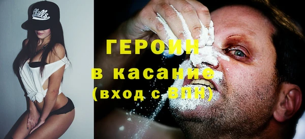 индика Горняк