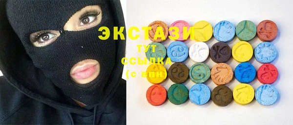 индика Горняк