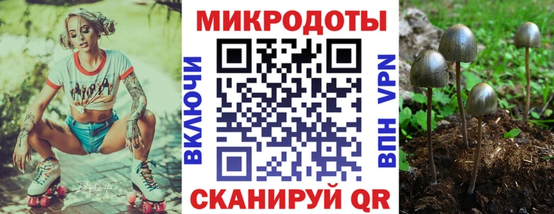 Псилоцибиновые грибы мухоморы  где купить   Енисейск 